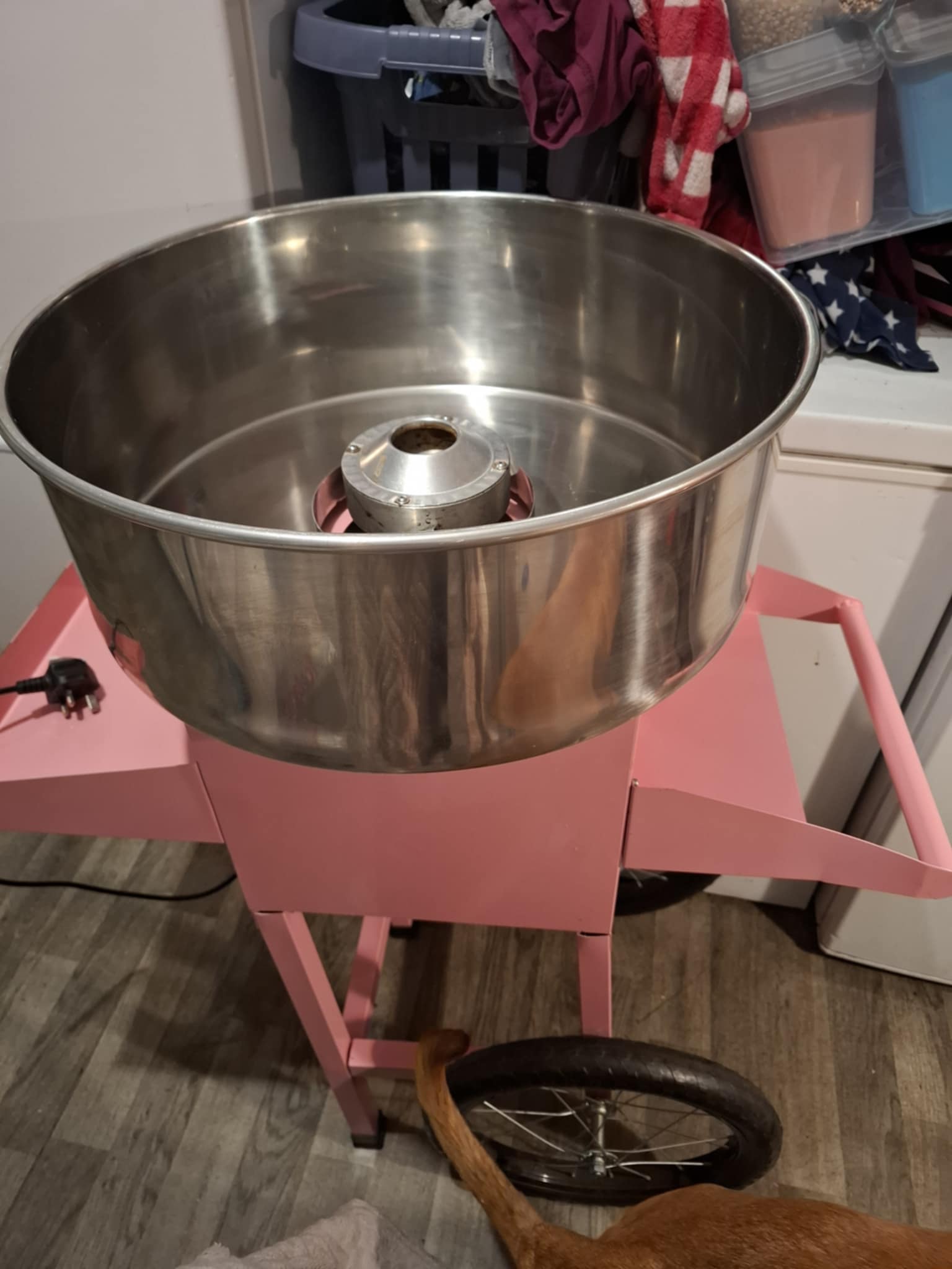 Gallery Image 20